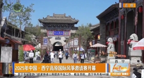 2025年中国·西宁高原国际风筝邀请赛开幕