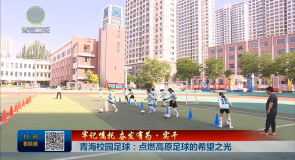 牢记嘱托 奋发有为·实干 青海校园足球：点燃高原足球的希望之光