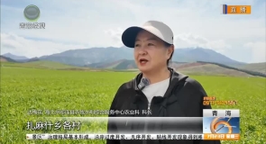 无人机活跃田间 赋能助农增收