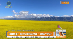 “借蜂酿蜜”联动全国蜂农共建“甜蜜产业链”