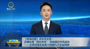 《青海日报》评论员文章：正确处理“四对关系”持续提升作风成效——论贯彻落实省委十四届九次全会精神