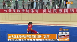 86名武术爱好者齐聚民和切磋“武艺”