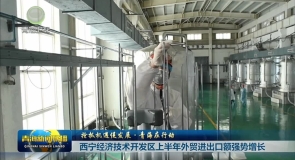 抢抓机遇促发展·青海在行动 西宁经济技术开发区上半年外贸进出口额强势增长