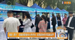 “南京 西宁”双城求职夜市火热开市 东西部协作共筑就业梦