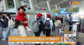 西宁市古城台街道昆仑路东社区组织辖区青少年开展暑期研学