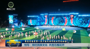 聚焦青海省第八届少数民族传统体育运动会 特写：绚烂民族文化 共育石榴花开