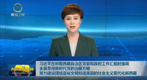 习近平在听取西藏自治区党委和政府工作汇报时强调 全面贯彻新时代党的治藏方略 努力建设团结富裕文明和谐美丽的社会主义现代化新西藏