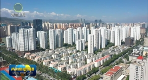 青海：社保提效惠民生
