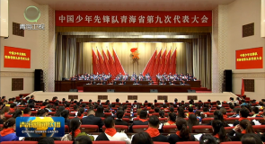 中国少年先锋队青海省第九次代表大会开幕 吴晓军出席并讲话