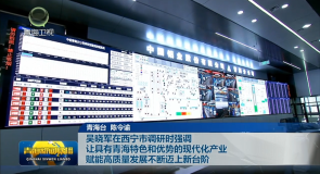 吴晓军在西宁市调研时强调 让具有青海特色和优势的现代化产业赋能高质量发展不断迈上新台阶