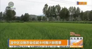 湟中区设施农业绘就乡村振兴新图景