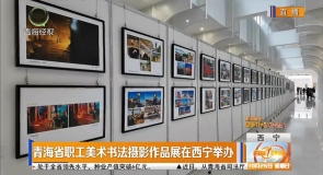 青海省职工美术书法摄影作品展在西宁举办