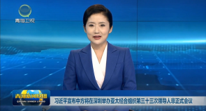 习近平宣布中方将在深圳举办亚太经合组织第三十三次领导人非正式会议