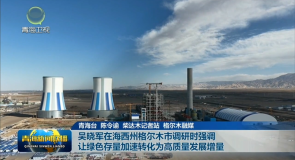 吴晓军在海西州格尔木市调研时强调 让绿色存量加速转化为高质量发展增量