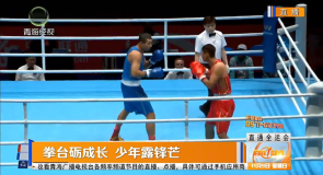拳台砺成长 少年露锋芒