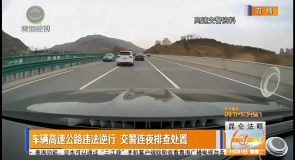 车辆高速公路违法逆行 交警连夜排查处置