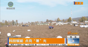 科技赋能 点亮“薯”光