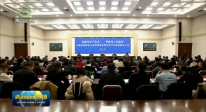 国家知识产权局 青海省人民政府共建高原绿色生态高质量发展知识产权强省推进大会召开 吴晓军 申长雨讲话 罗东川主持