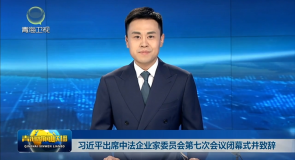 习近平出席中法企业家委员会第七次会议闭幕式并致辞