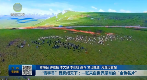 新时代 新答卷·青海这五年 “青字号”品牌闯天下：一张来自世界屋脊的“金色名片”