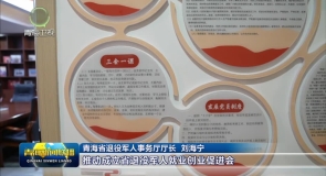 ”‘十四五’发展成就”系列主题新闻发布会退役军人事务专场发布会举行