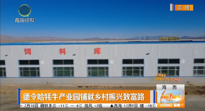 德令哈牦牛产业园铺就乡村振兴致富路