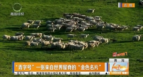 “青字号”一张来自世界屋脊的“金色名片”