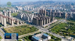 “十四五”期间苏青东西部协作助力青海农畜产品销售突破20亿元