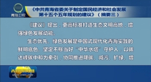 《中共青海省委关于制定国民经济和社会发展第十五个五年规划的建议》(摘要三）