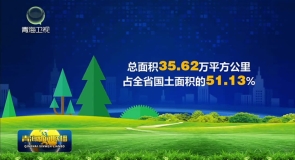 【四中全会精神在基层】青海：“三北”攻坚启新程