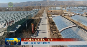 牢记嘱托 奋发有为·实干 苏青一家亲 实干促振兴