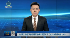 《求是》杂志发表习近平总书记重要文章《扩大内需是战略之举》