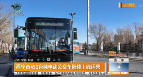 西宁市450台纯电动公交车陆续上线运营