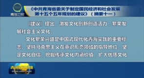 《中共青海省委关于制定国民经济和社会发展第十五个五年规划的建议》(摘要十一)