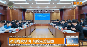 深化府院联动 共绘法治蓝图