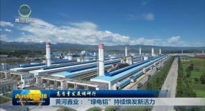 高质量发展调研行 黄河鑫业：“绿电铝”持续焕发新活力