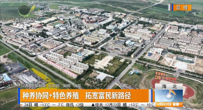 种养协同+特色养殖 拓宽富民新路径