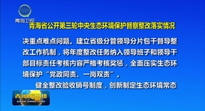 青海省公开第三轮中央生态环境保护督察整改落实情况