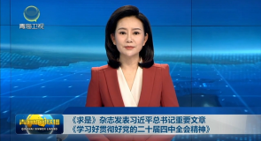 《求是》杂志发表习近平总书记重要文章《学习好贯彻好党的二十届四中全会精神》