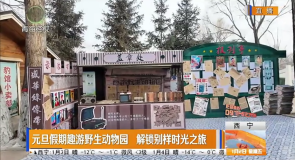 元旦假期趣游野生动物园 解锁别样时光之旅