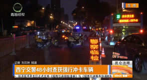 西宁交警48小时查获强行冲卡车辆