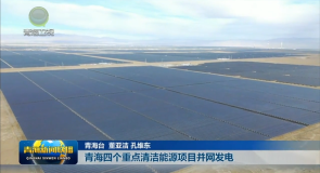 青海四个重点清洁能源项目并网发电