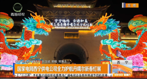国家电网西宁供电公司全力护航丹噶尔新春灯展