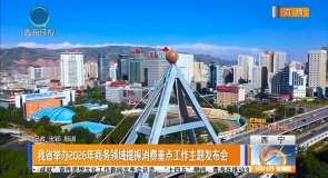 我省举办2026年商务领域提振消费重点工作主题发布会