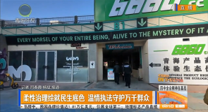 柔性治理绘就民生底色 温情执法守护万千群众