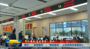 【牢记嘱托 奋发有为·实干】西宁：“温度服务”+“智能提速” 公安政务改革暖民心