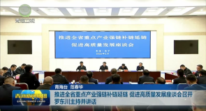 推进全省重点产业强链补链延链 促进高质量发展座谈会召开 罗东川主持并讲话