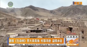 跟着《生命树》赏大美青海 村落寻迹 温情永驻