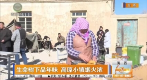 生命树下品年味 高原小镇烟火浓