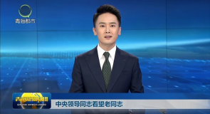 中央领导同志看望老同志